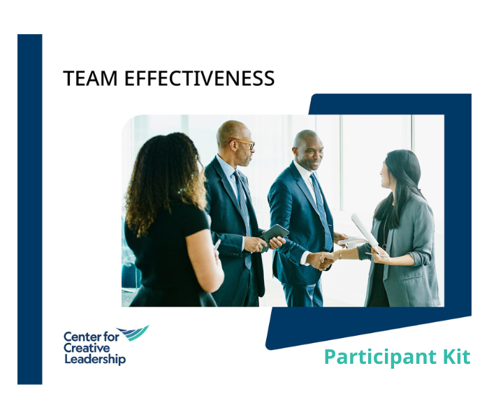 Team Effectiveness Participant Kit